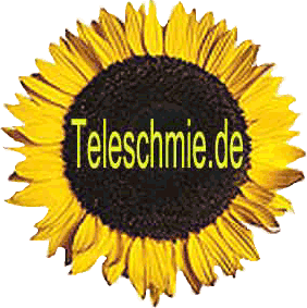 Hier gehts zu den Webseiten der Teleschmiede !