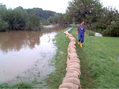 Sandscke in Dessau-Mildensee