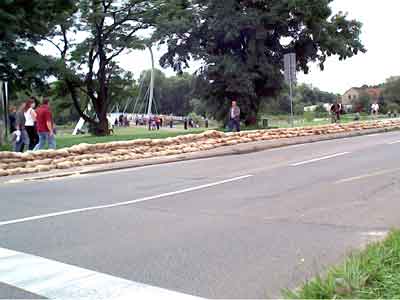 Sandscke an der Ludwigshafener Strae