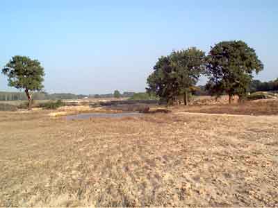 das Loch im Schwedenwall nach dem Wasser - ca. 50 m breit