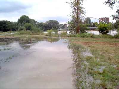 der Tiergarten nur leicht berschwemmt