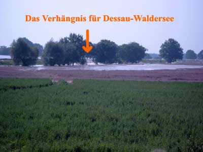 Exclusiv auf www.Dessau.TV - das Loch im Schwedenwall kurz nach dem Bruch